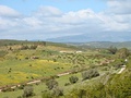 The open fields of the Algarve in spring