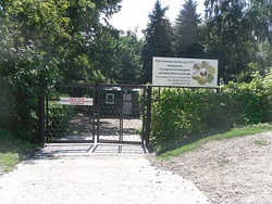 Ботанический сад СГУ