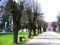 Park in the town center