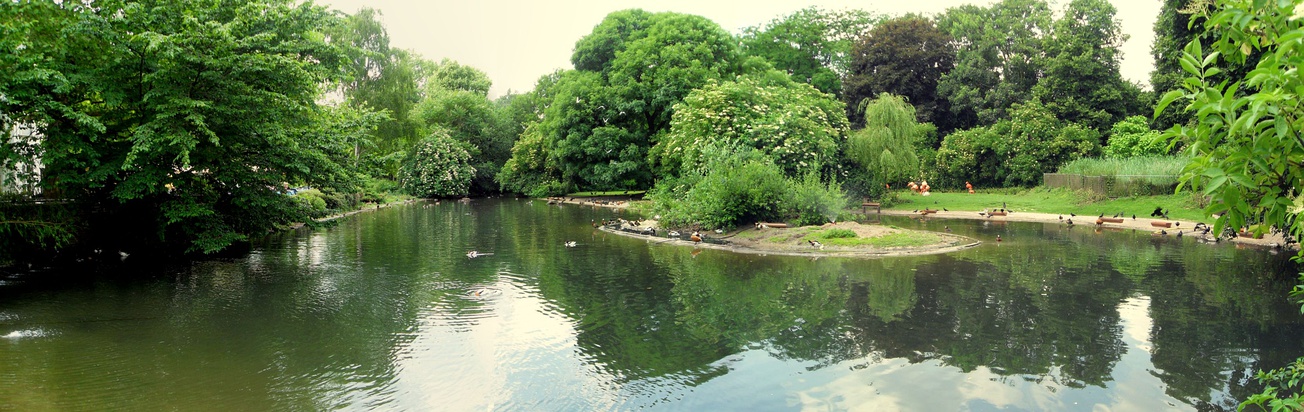  Panoramic picture of Bird Pond