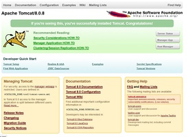 Скриншот программы Apache Tomcat