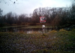 Нижний Щербинский пруд, на заднем плане парк