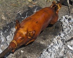 Cebu Lechon is one of the two types of lechon in the Philippines. It is served primarily around the Metro Cebu Area, particularly Talisay City, but is served throughout the island and other parts of the Visayas.[89]