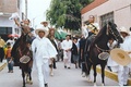 Chalanes y caballos de Paso