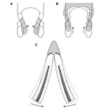 Diagram showing hypotheses for jaw movement during tooth-to-tooth occlusion (left), and occlusion between an upper and lower cheek tooth in side view (right)