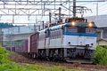 A pair of Class ED79 electric locomotives in June 2013