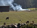 El fuego de follaje húmedo en combustión abierta (sin efecto chimenea) da lugar a gases de combustión más fríos y pesados debido al hollín, que muestran poca flotabilidad