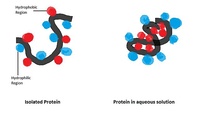 Van der Waals force between two acetone molecules. The lower acetone molecule contains a partially negative oxygen atom that attracts partially positive carbon atom in the upper acetone.