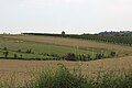 Kotesica - panorama