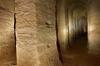 Piusa caves (2011)