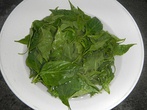 Edible leaves of siling labuyo