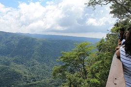 Bosque seco Parque nacional El Imposible