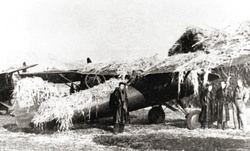 Польский истребитель PZL P.11, замаскированный на полевом аэродроме, 31 августа 1939 