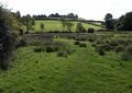 Meadows on the West Deane Way