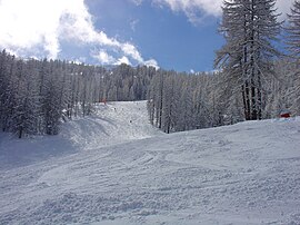 Ski run