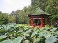 Los pabellones de estilo chino en los jardines botánicos tienen una estructura hexagonal.