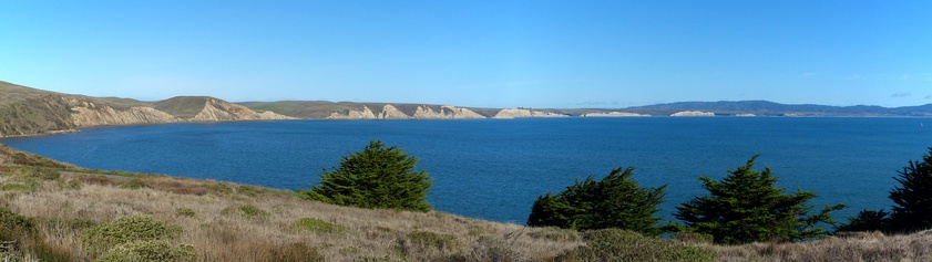  View of Drakes Bay from Elephant Seal Overlook trail