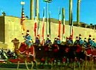 Afsharians parade in Persepolis