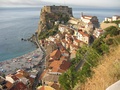 Scilla