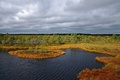 Marimetsa bog