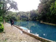 El Bosque de las Truchas en Huasca de Ocampo.