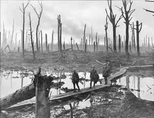 Australian gunners in Château Wood near Hooge, 29 October 1917.