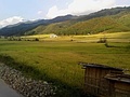 Paddy fields in Manipur