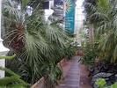 Interior of the Palm House