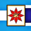 Flag of Añatuya