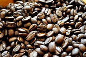 Principales productos agrícolas de Costa Rica: café, banano, piña y cacao.