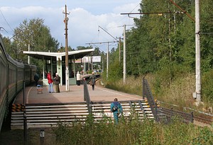 Вид из окна электропоезда в сторону Сестрорецка