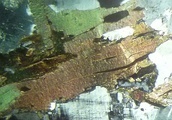 Biotite in thin section under cross-polarized light.