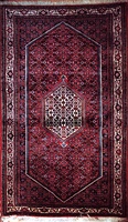 Bidjar rug with Garus pattern