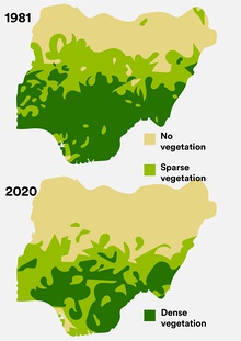 Nigerian deforrestation 1981 - 2020