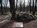 The highest natural point in the U.S. state of Missouri at 1,772 feet.