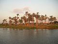 Tropical savanna in Kenya.