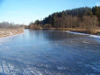 Куровское озеро (старица Клязьмы).
