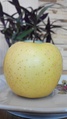 Яблоко сорта «Голден»