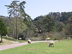 Rokkosan Pasture (2004)