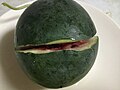 Very ripe Sugar Baby watermelon, grown in Oklahoma, bursts open when a small incision is made into its rind