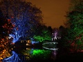 Syon Park Enchanted Woodland