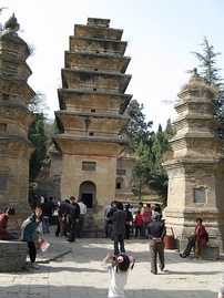 The Pagoda forest (close view), located about 300 meters (980 ft) west of the Shaolin Monastery in Henan