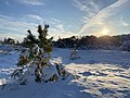 Winter 2022 on Assateague Island