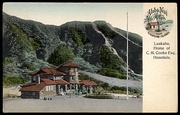 Hawaiian Aloha nui Postcard c. 1908
