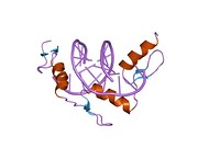 1jk1: Zif268 D20A Mutant Bound to WT DNA Site