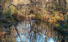 Harlem Meer