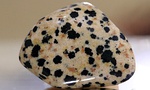 "Dalmatian jasper" – not a jasper at all but a form of the igneous rock perthite. The black spots are composed of the rare amphibole arfvedsonite (and not, as often claimed, of tourmaline). Polished pebble.