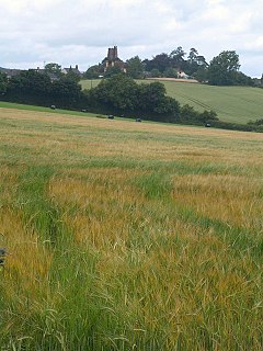 Church tower seen across fields