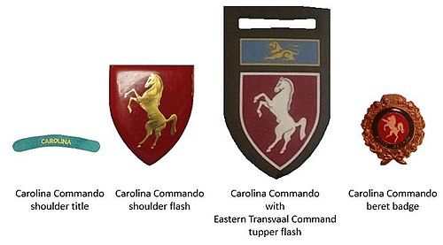 South African Defence Force (SADF) era Carolina Commando insignia.