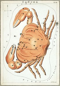 Карточка №19: Рак